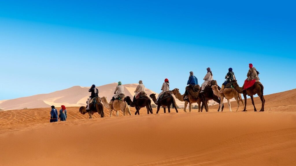 Tourists enjoying a camel trek in the Sahara Desert with golden dunes in the background