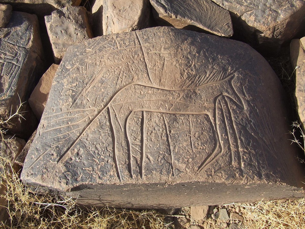 Detailed view of ancient rock carvings on a rugged stone surface in Yagour, Morocco, surrounded by the Atlas Mountains