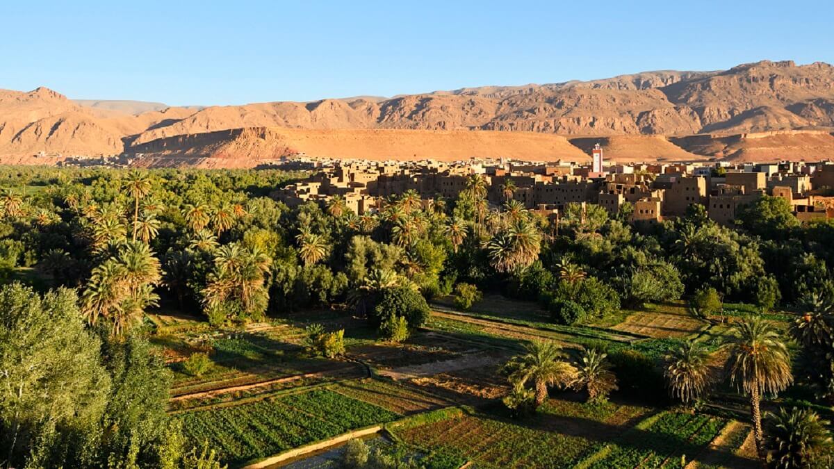 Verdant oases in Morocco, surrounded by palm trees and traditional mud-brick villages against a backdrop of arid desert landscapes