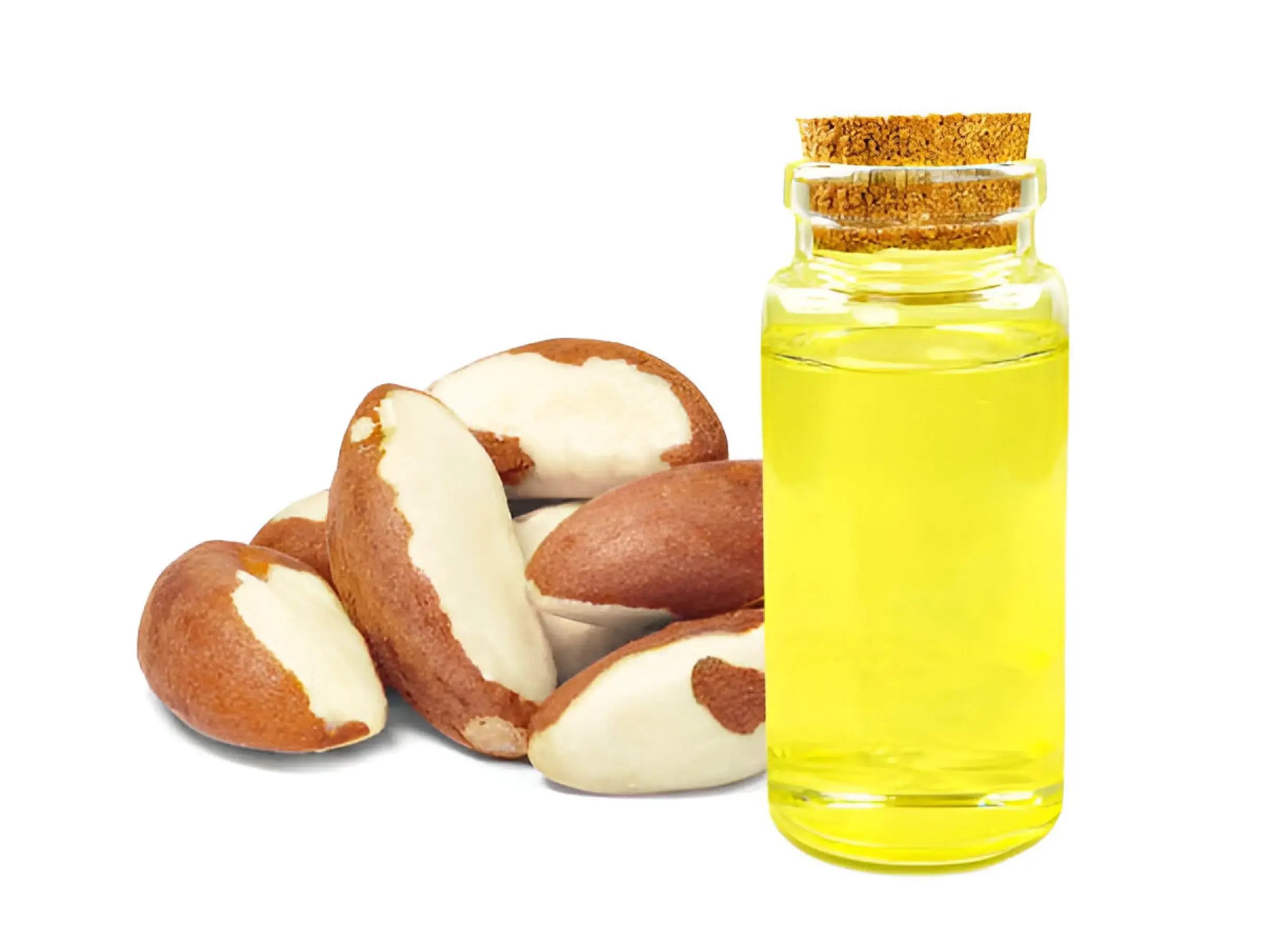 Is Moroccan Oil Good for Hair ? A bottle of Moroccan oil next to fresh argan nuts, showcasing its natural origins and beauty benefits.