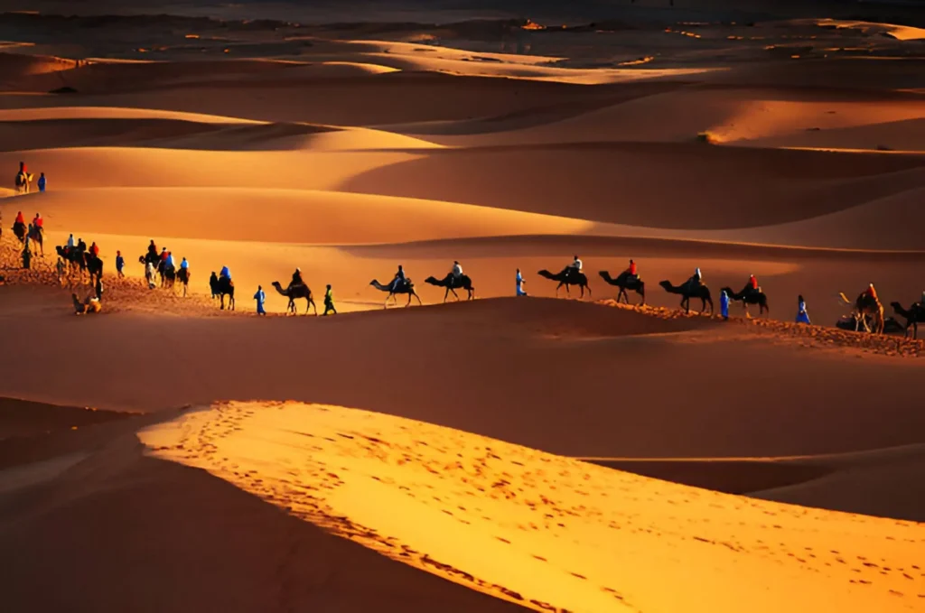 Traveler riding a camel across the golden dunes of the Sahara Desert in Morocco. Best Morocco Tour Companies