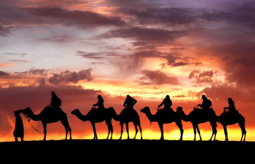 What to Do in Marrakech in 4 Days: A Perfect Itinerary for First-Time Visitors 7 Tourists on a Marrakech desert tours riding camels through the Moroccan Sahara at sunset.
